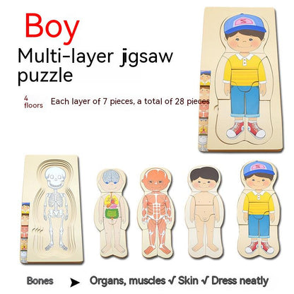 Boys' Body Structure Puzzle Children's Wooden Toys